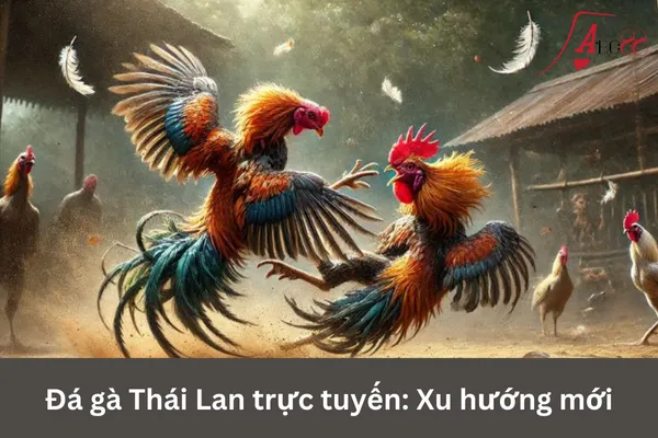 Đá gà Thái Lan
